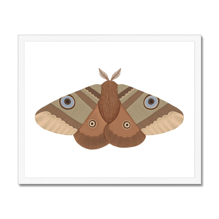 Moth / Framed Print