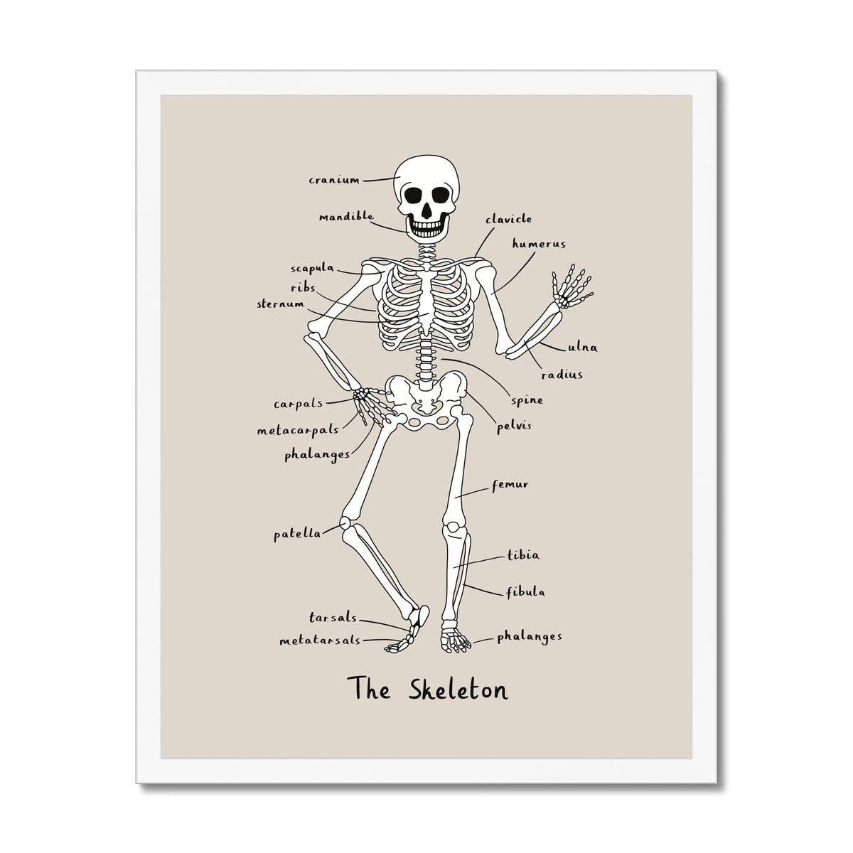 Skeleton in stone / Framed Print