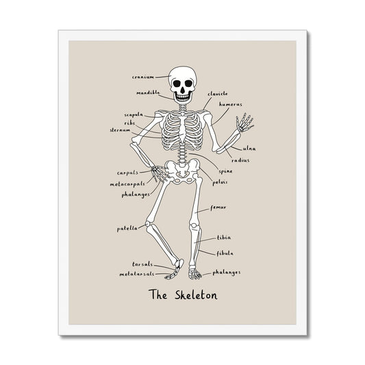 Skeleton in stone / Framed Print