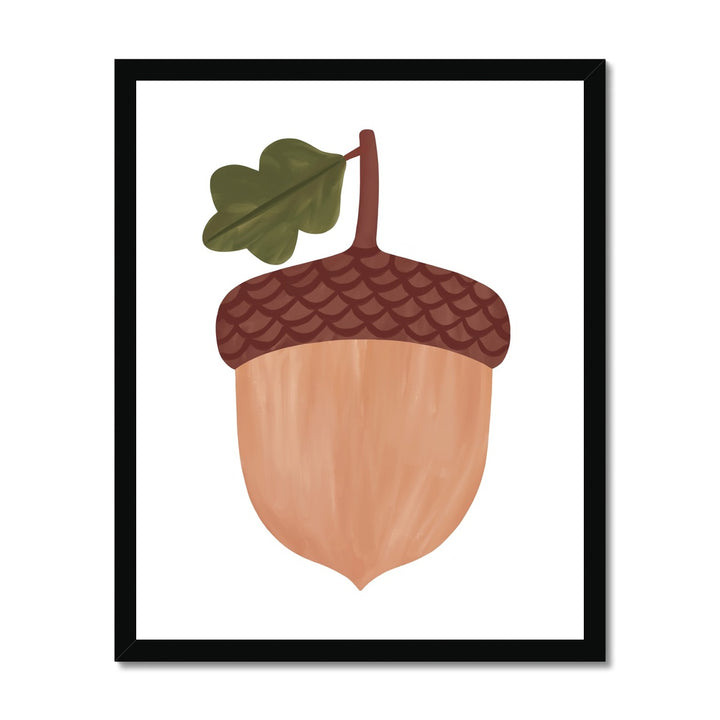 Acorn in white / Framed Print