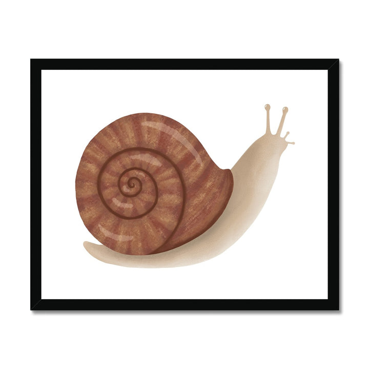 Snail / Framed Print