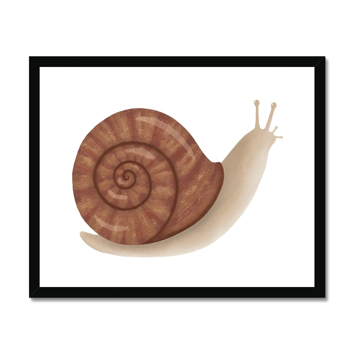 Snail / Framed Print