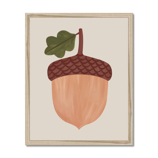 Acorn in stone / Framed Print