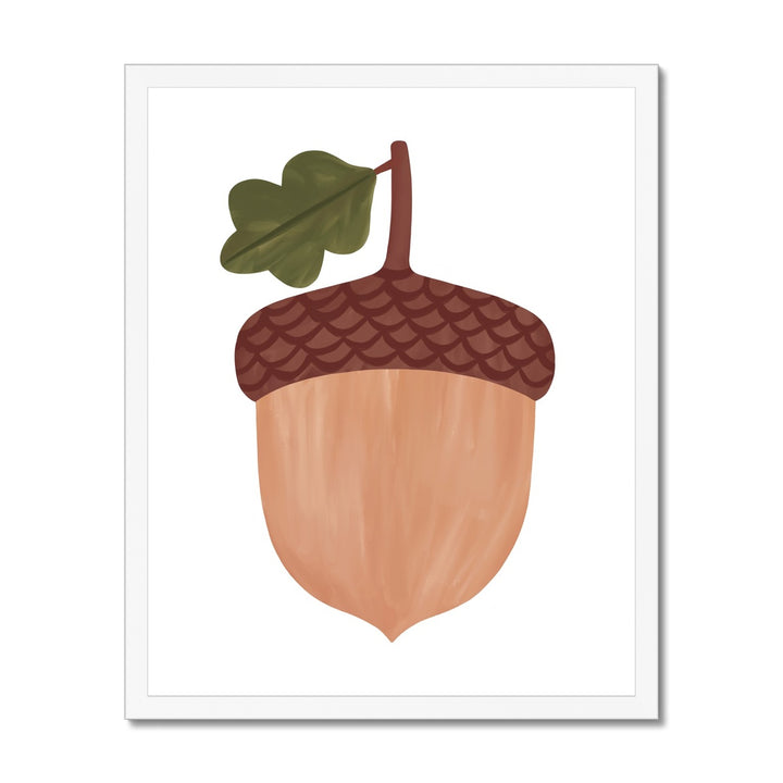Acorn in white / Framed Print