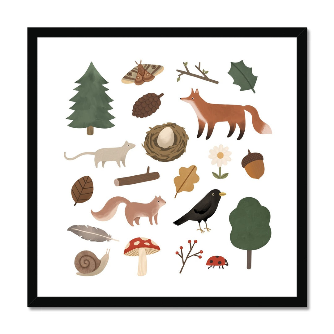 Woodland Life / Framed Print