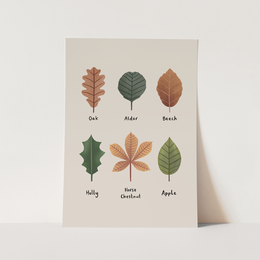 Leaves in stone / Fine Art Print