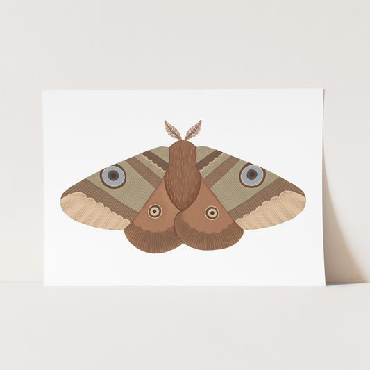 Moth / Fine Art Print