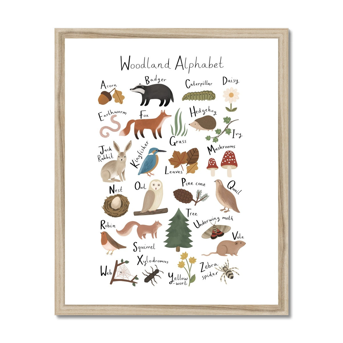 Woodland Alphabet in white / Framed Print
