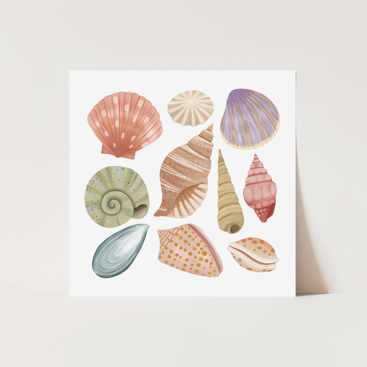 Shells / Fine Art Print