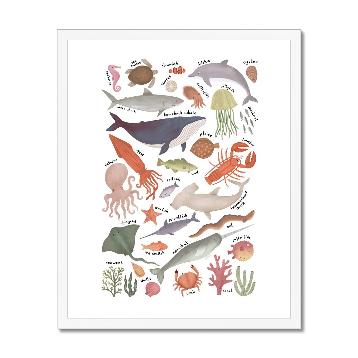 Ocean Life chart / Framed Print