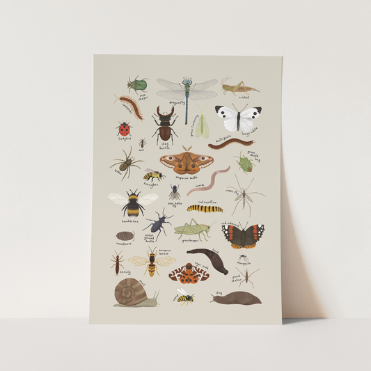 Minibeasts in stone / Fine Art Print