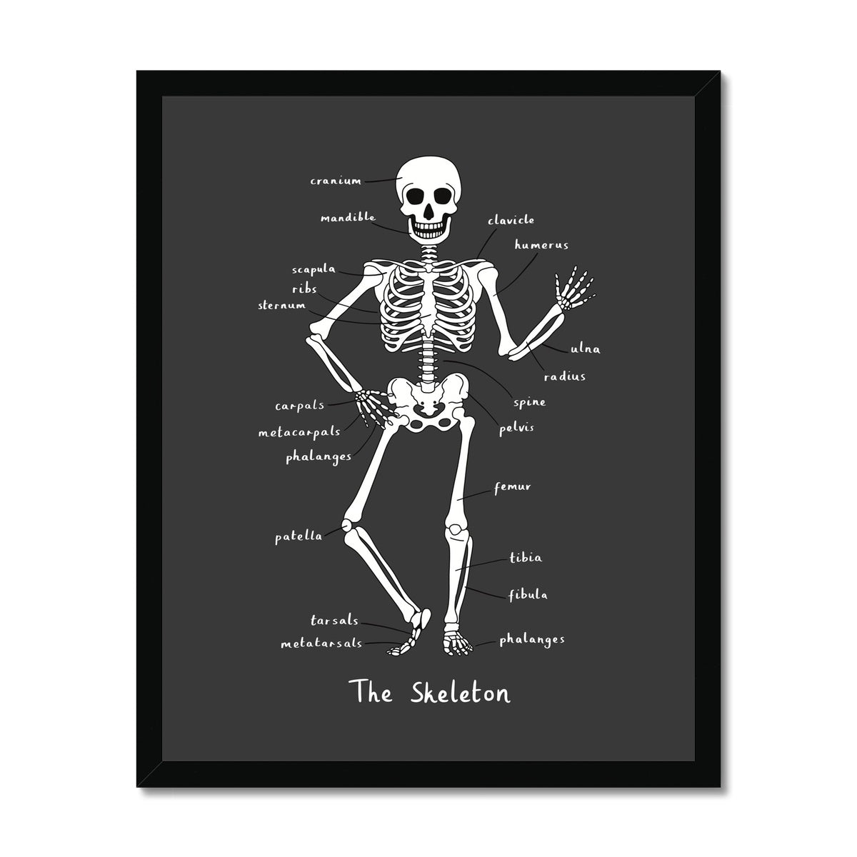 Skeleton in black / Framed Print