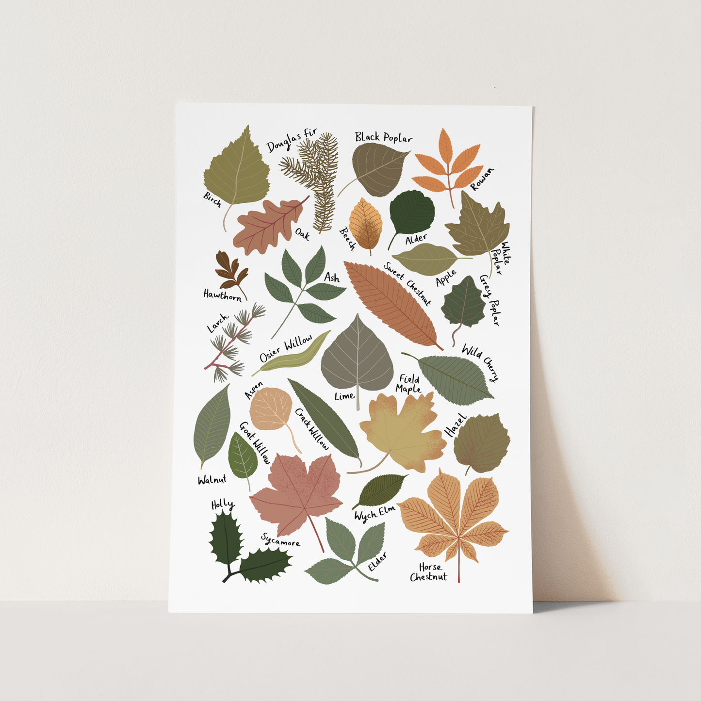 Leaf Chart / Fine Art Print
