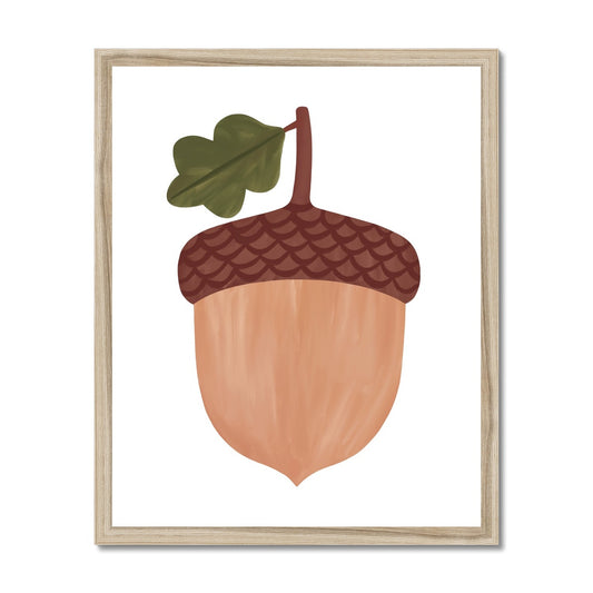 Acorn in white / Framed Print