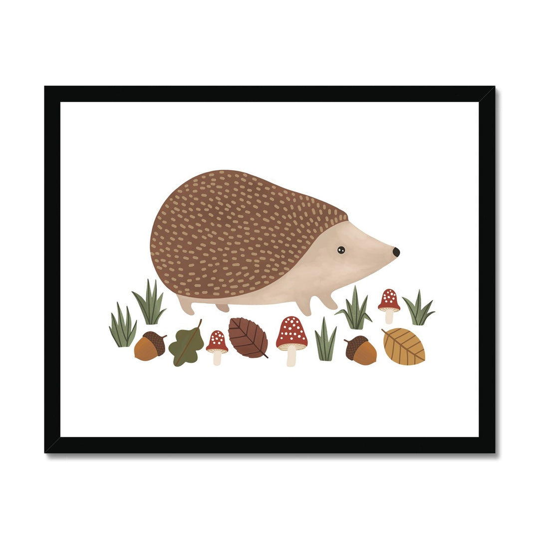 Hedgehog in white / Framed Print