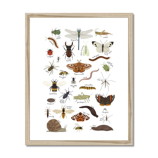 Minibeasts in white / Framed Print