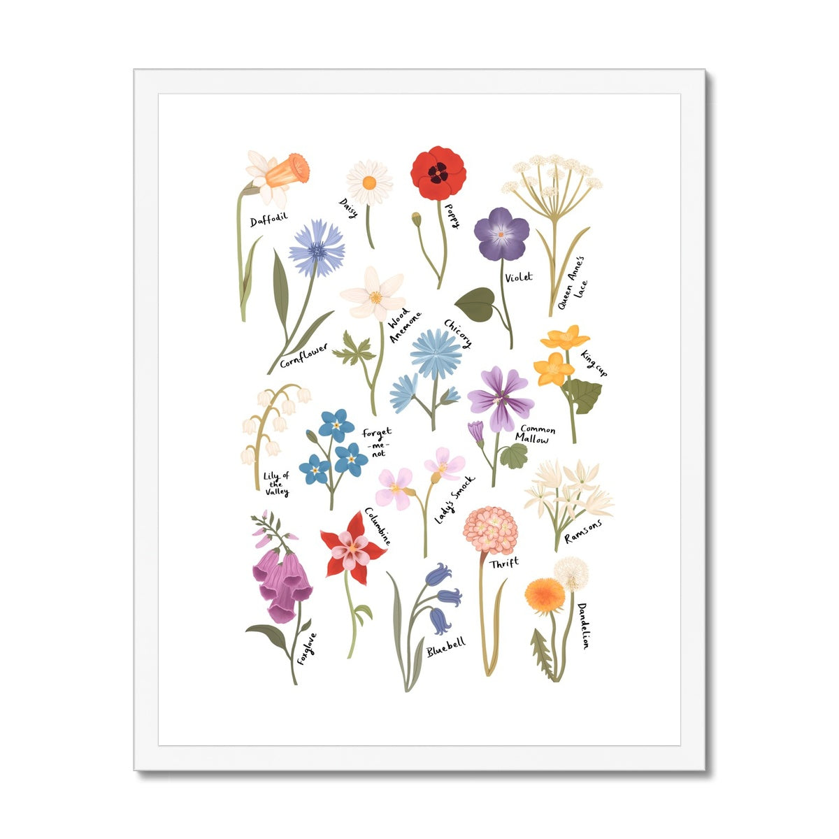 Wildflowers / Framed Print