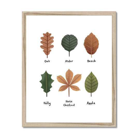 Leaves in white / Framed Print