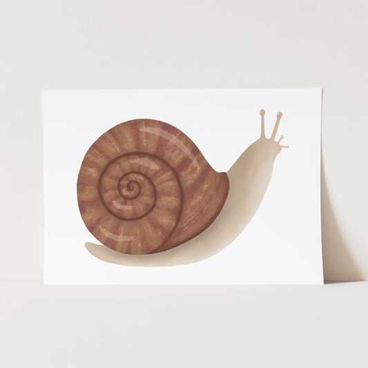 Snail / Fine Art Print